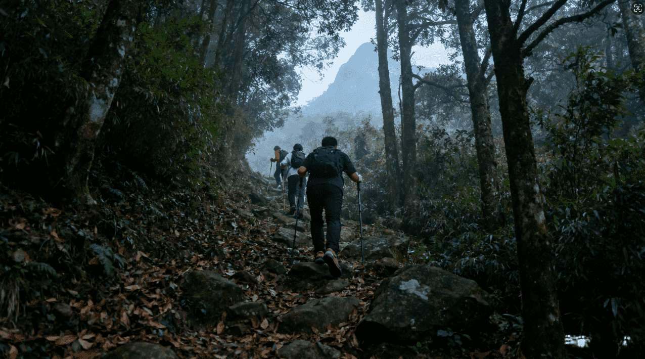 老王佛系加速器ips永久免费版最新动态信息